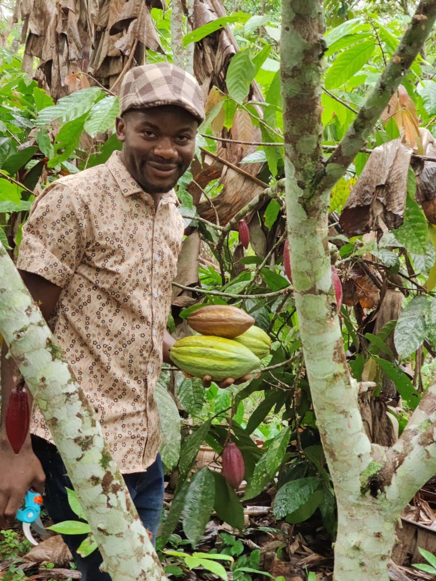 SILVA – The Art of Cacao Sourcing SILVA - The Art of Cacao Sourcing