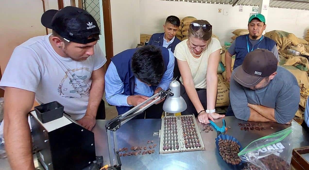 SILVA – The Art of Cacao Sourcing SILVA - The Art of Cacao Sourcing