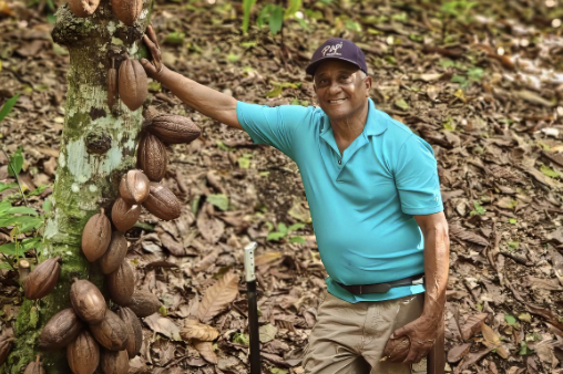 Silva Cacao - Dominican Republic - Taíno 'Los Marmolejos'